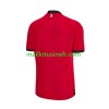Maillot de Foot Georgia Troisième UEFA EURO 2024